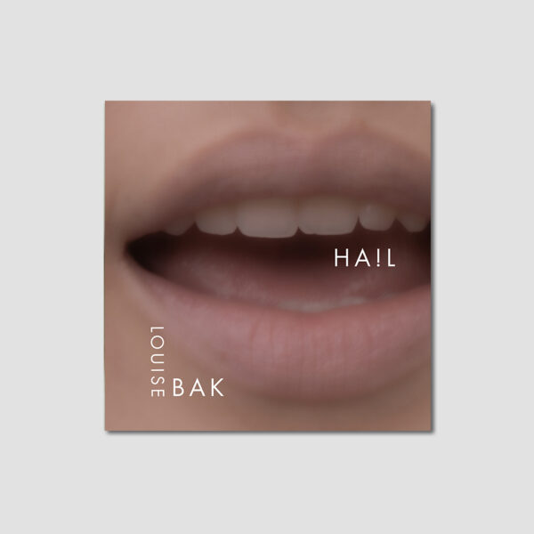 Hail - Louise Bak (eBook)